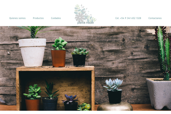 portada web de "planta madre", plantas de interior by La Vuelta Web