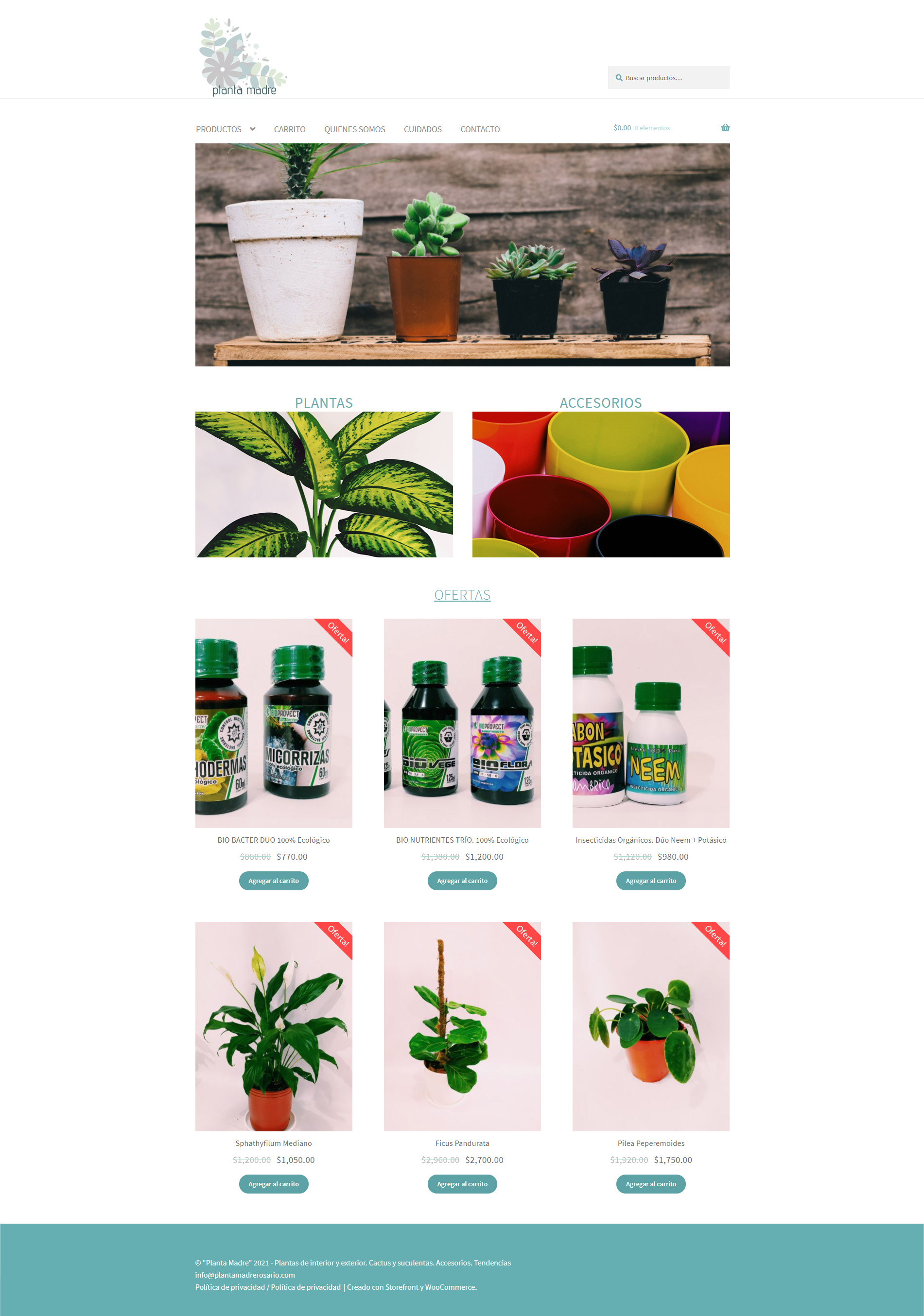 Tienda online "planta madre" Plantas de interior y exterior. Cactus y suculentas. Accesorios. Tendencias